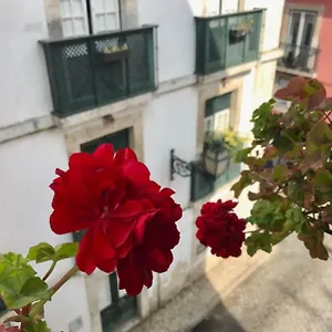 In The Heart Of Apartment